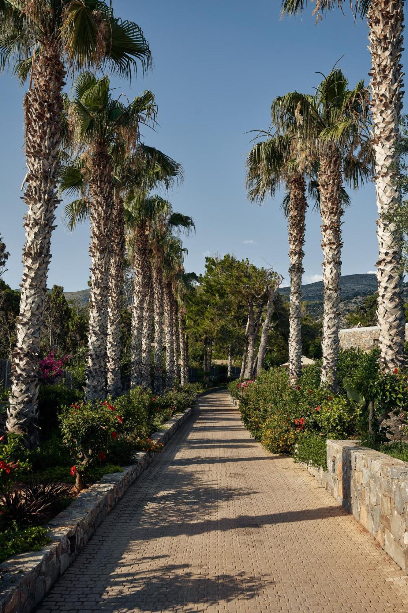 Ikaros Beach, Luxury & - Adults Only Hotel Malia (Crete)