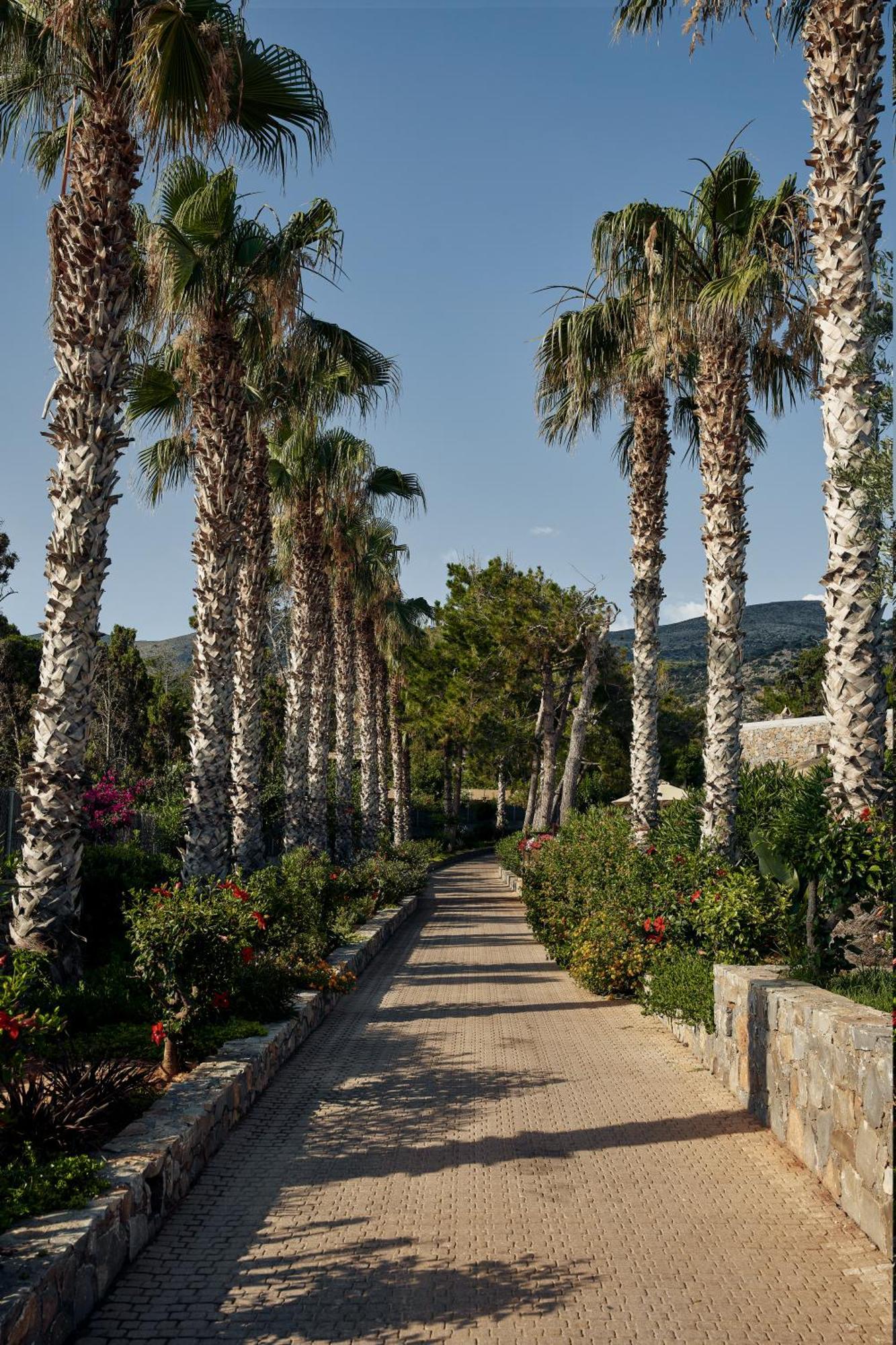 Ikaros Beach, Luxury & - Adults Only 酒店 Mália